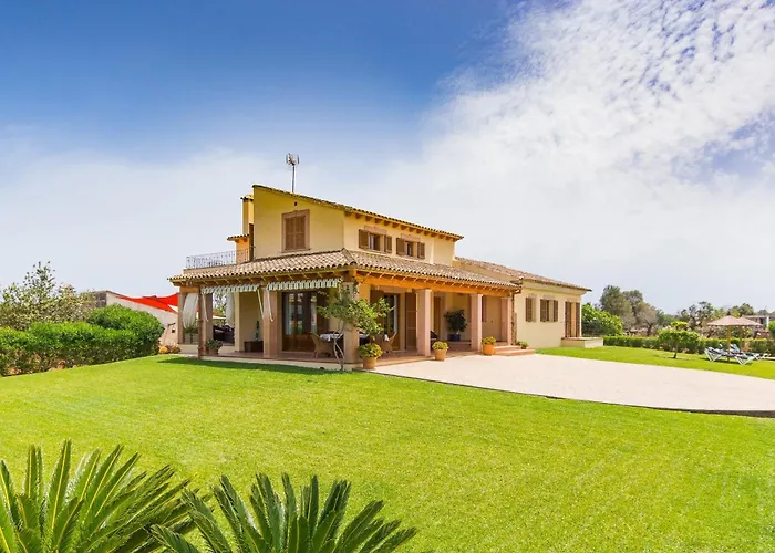 Cocou * Can Picafort (Mallorca)